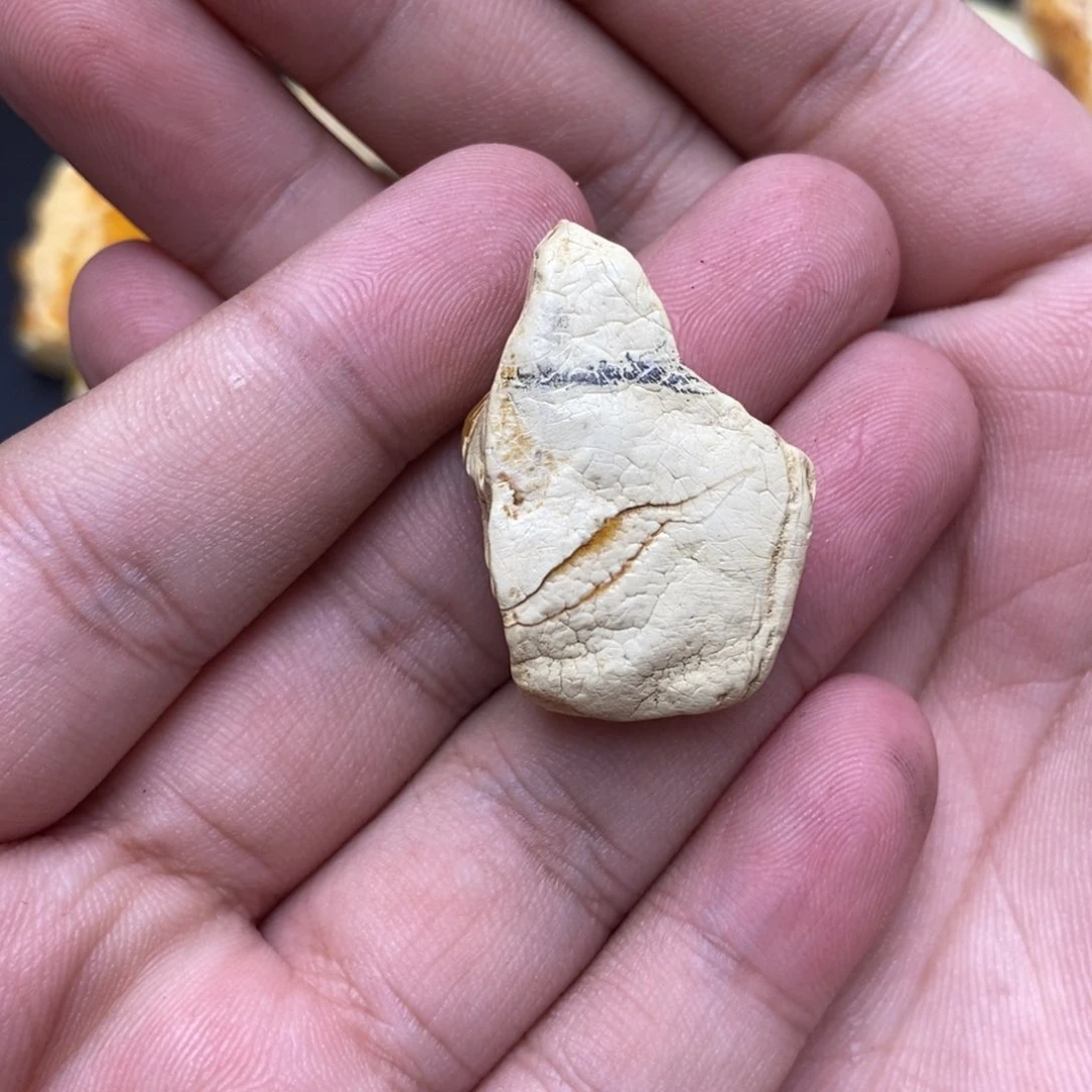 定制琥珀未镶嵌定制