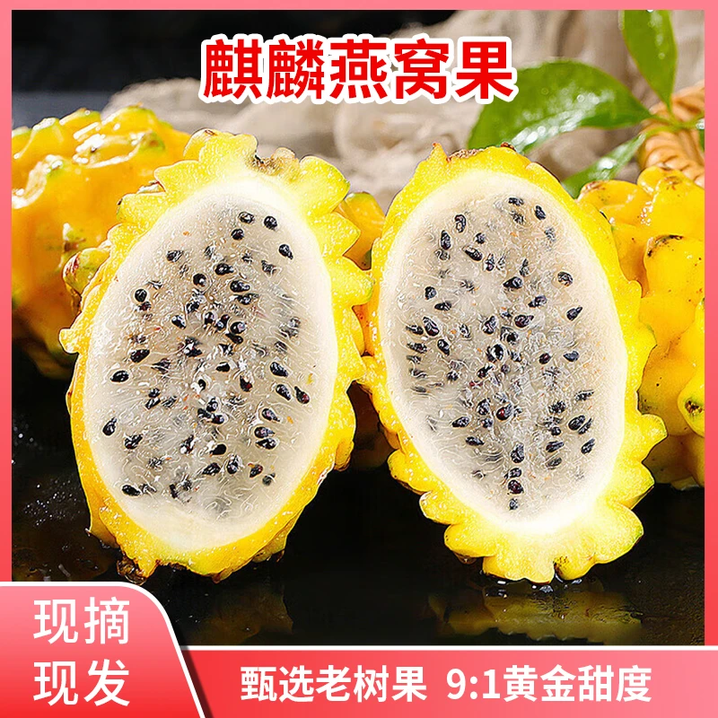 稀有广西高山燕窝果麒麟果汁多嫩滑热带水果当季送礼佳品