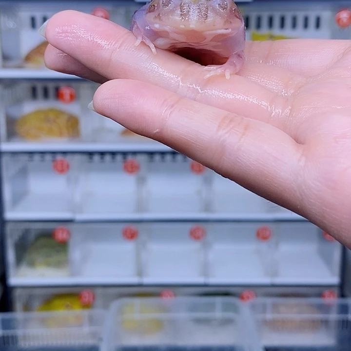 特价秒杀现货特价