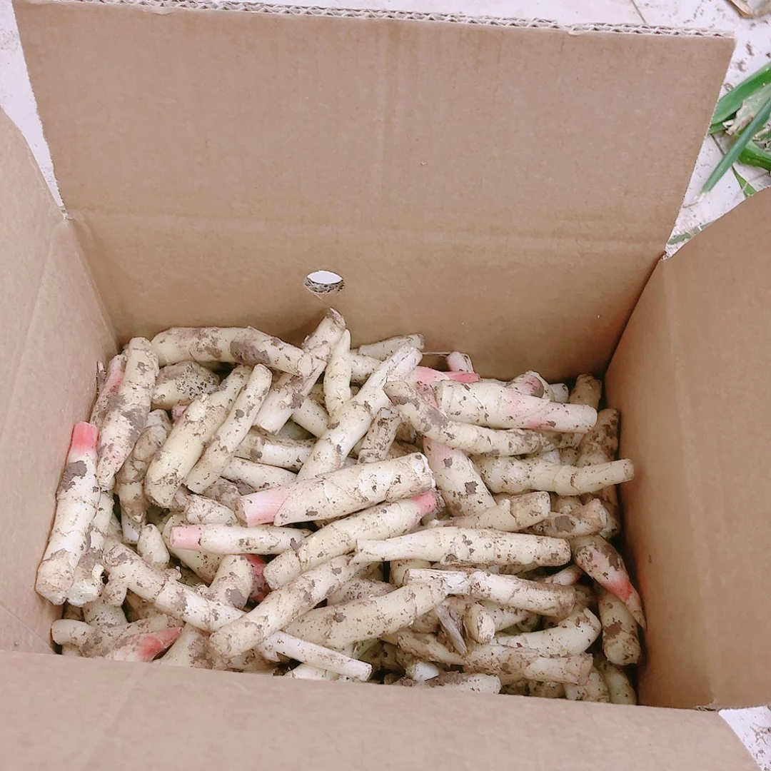 黄姜中国大陆碎姜