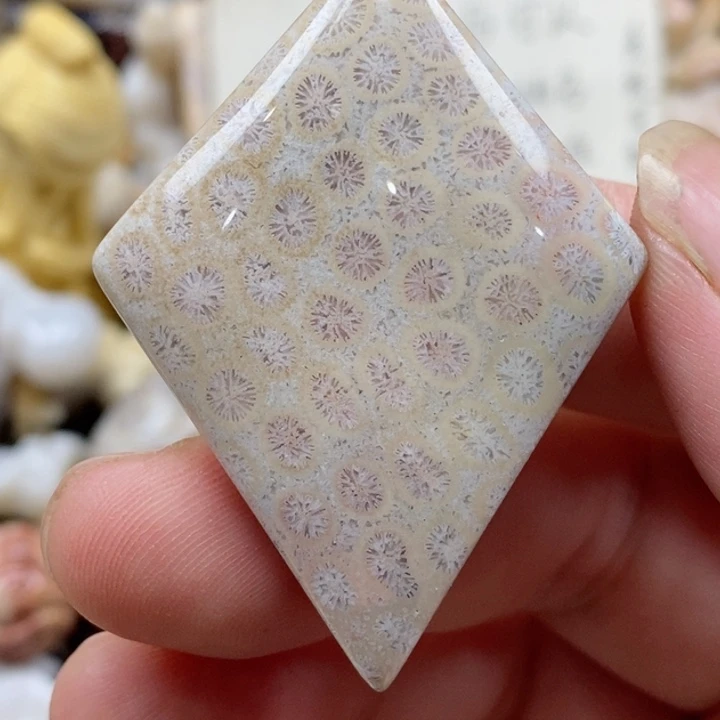 颈饰未镶嵌硅化珊瑚（珊瑚玉）
