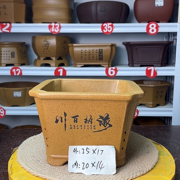 花盆紫砂你在一起