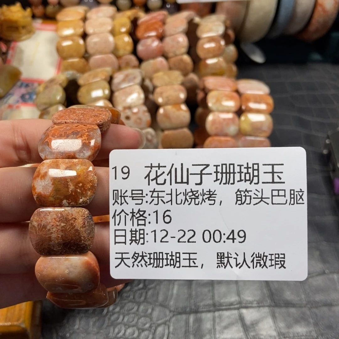 东***锅硅化珊瑚（珊瑚玉）未镶嵌珠宝半成品19