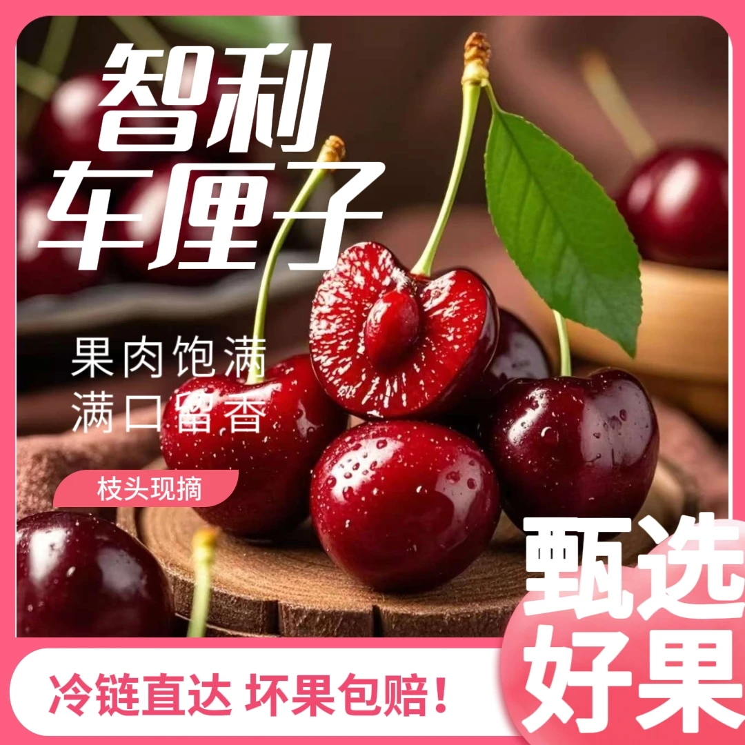 【净重5斤】智利桑提娜车厘子4JD-3J海运脆甜多汁内附果径卡