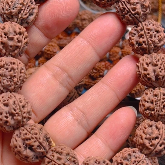 金刚菩提手串v257/19/5