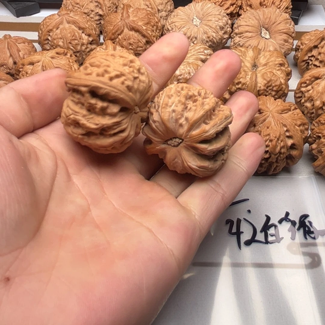 的风格哈哈哈哈嘎嘎嘎嘎vv