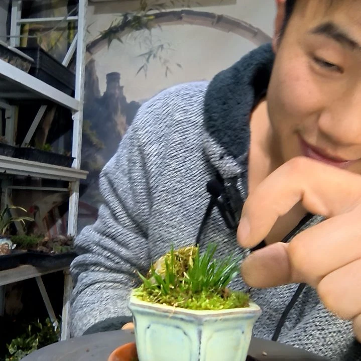 静***e中青园艺一物一拍花217