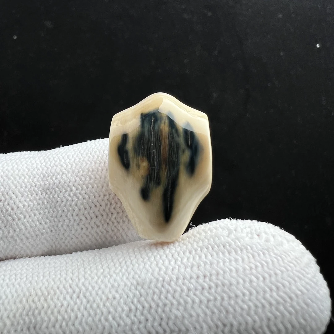 D4383天然猛犸牙 三通 14.4*21.8mm支持鉴定 假一罚四