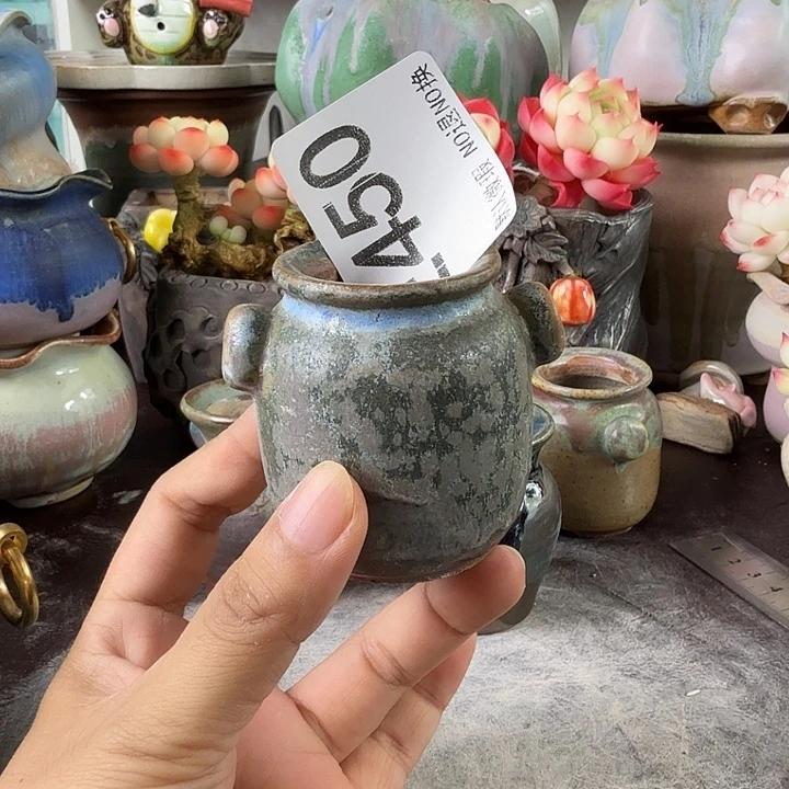 重庆小燕子欢迎大家450