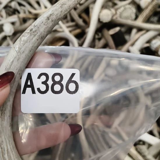 泽***西鹿角鹿角鹿角鹿角鹿角