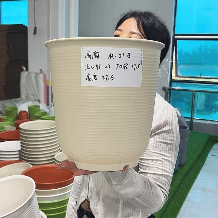 正品高陶口27高27.6米色无托4只
