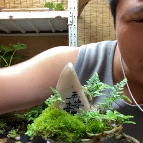 红陶一物一拍所见即所得248