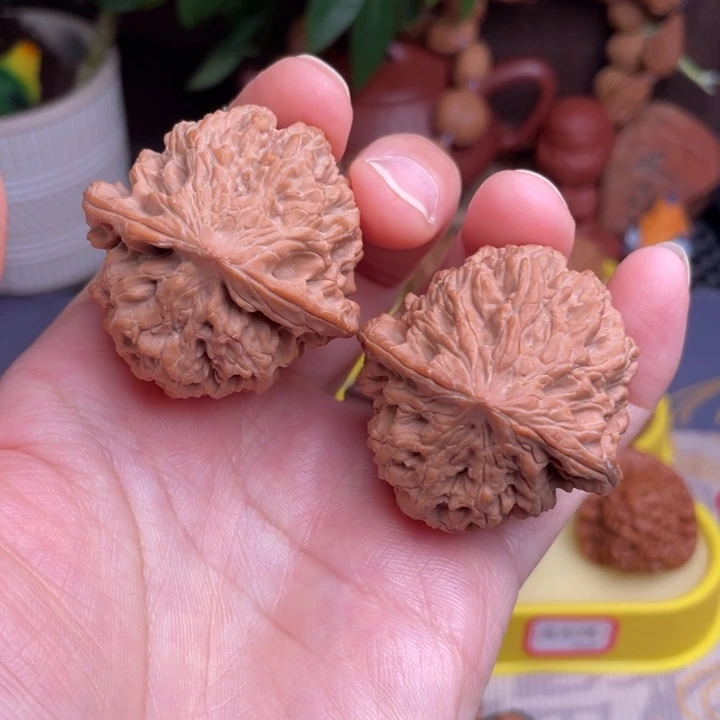 文玩核桃把件野牛41.5