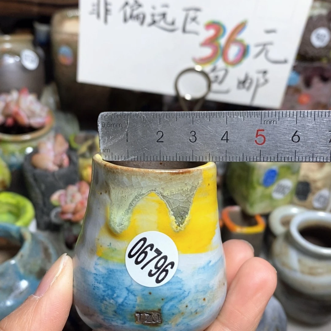 花盆拍5送一个小礼物