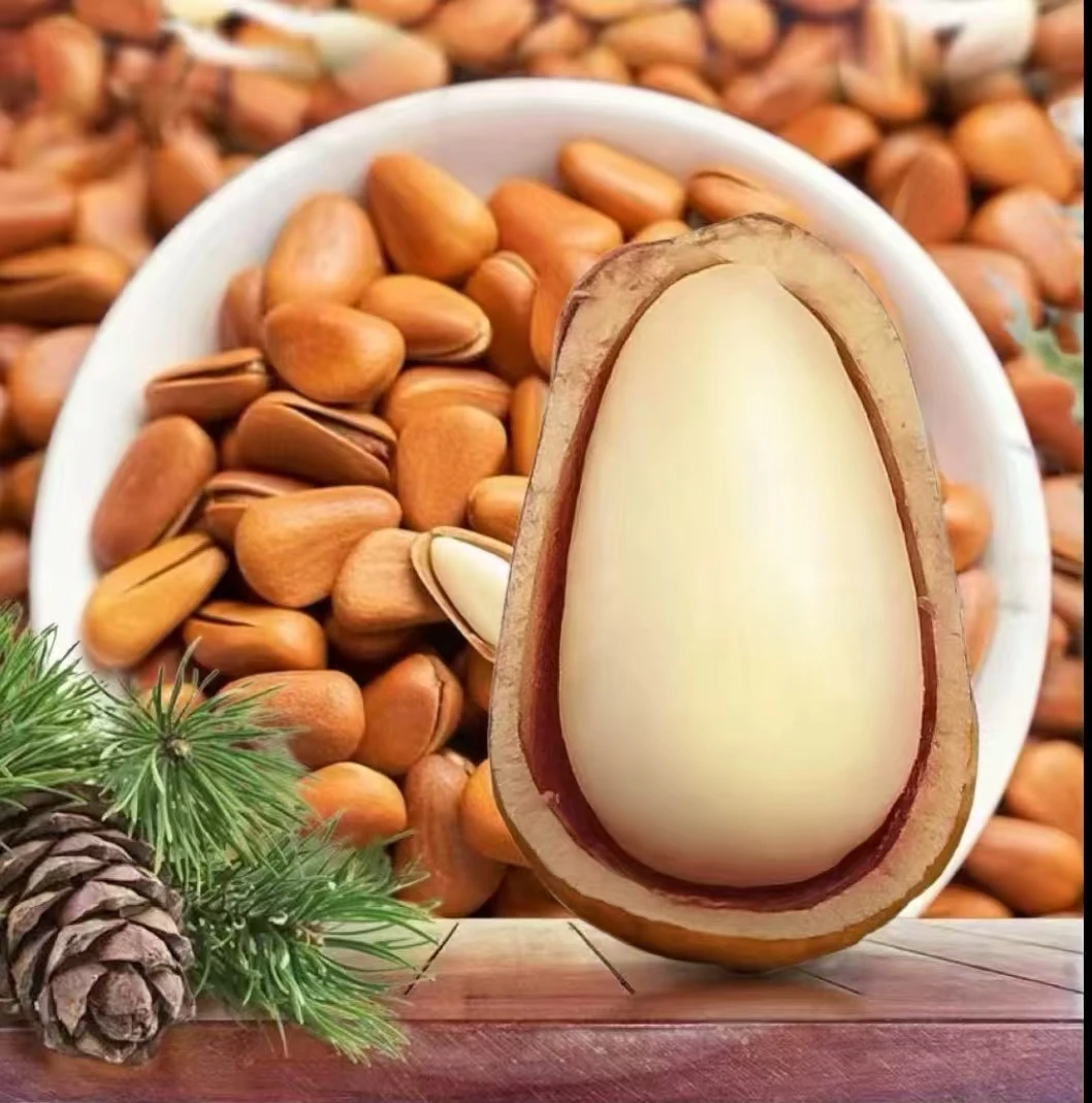 东北特大颗粒开口松子500g袋装手剥原味孕妇休闲零食