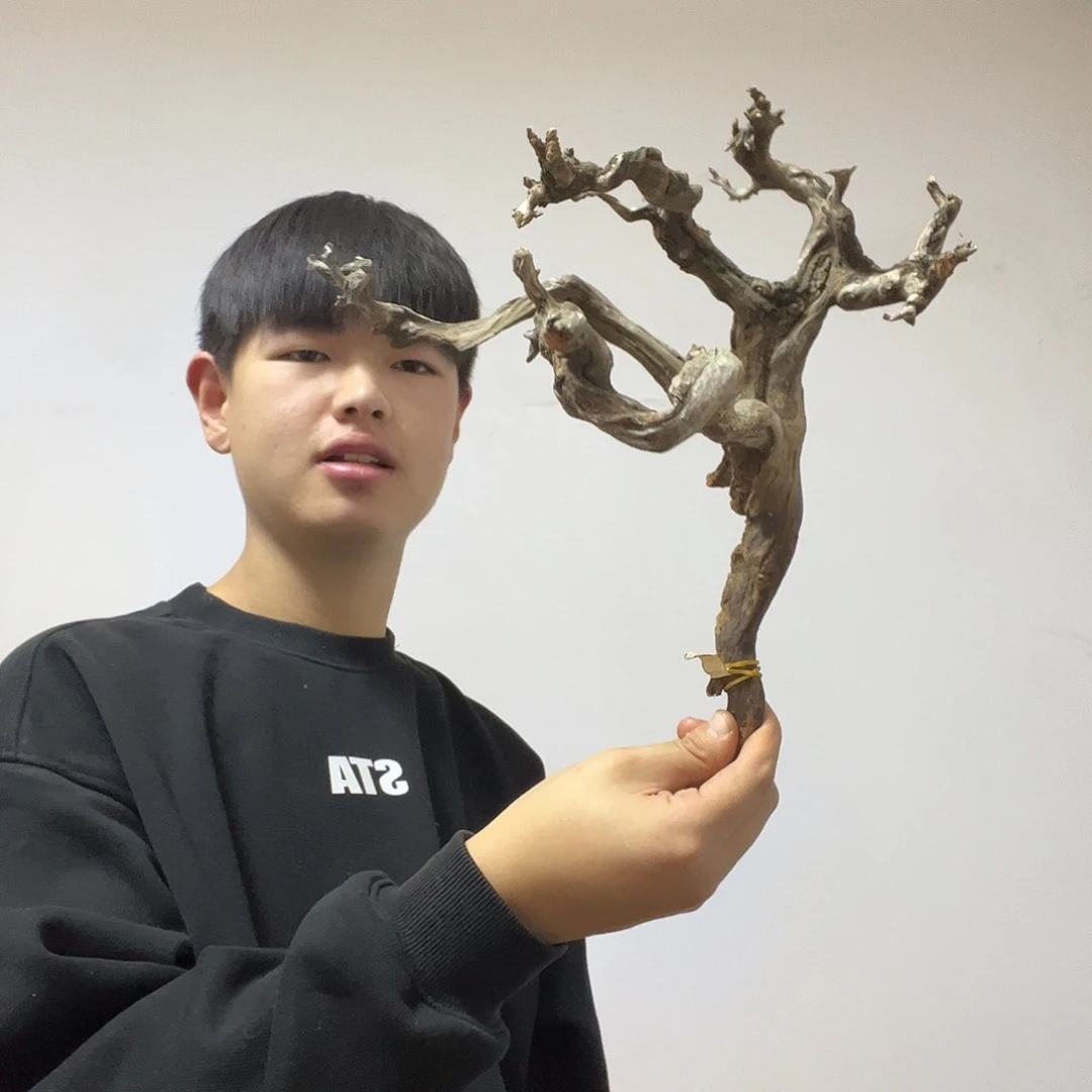 与***？柏木却不想去的地方自治