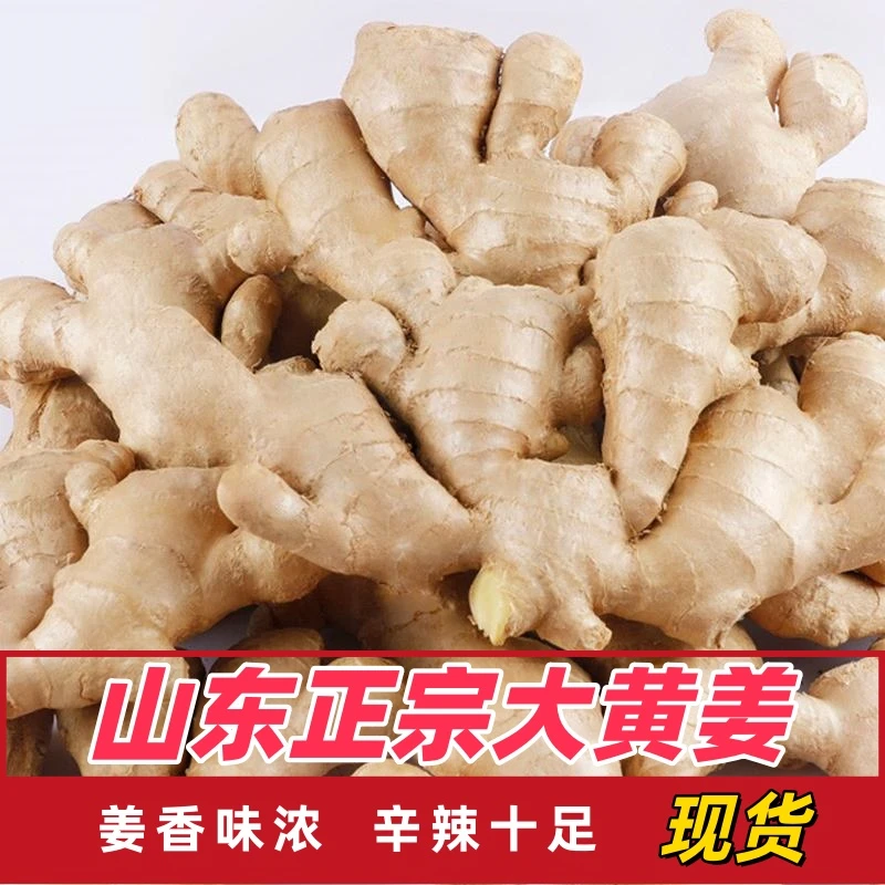 坏果包赔正宗山东特产大黄姜大块风干老姜辛辣味浓适合月子食用