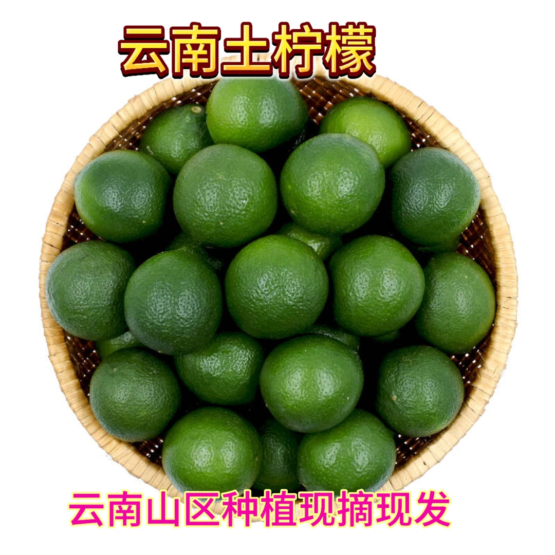 云南土柠檬小青柠檬新鲜水果青柠鲜果柠檬奶茶榨汁专用傣味菜