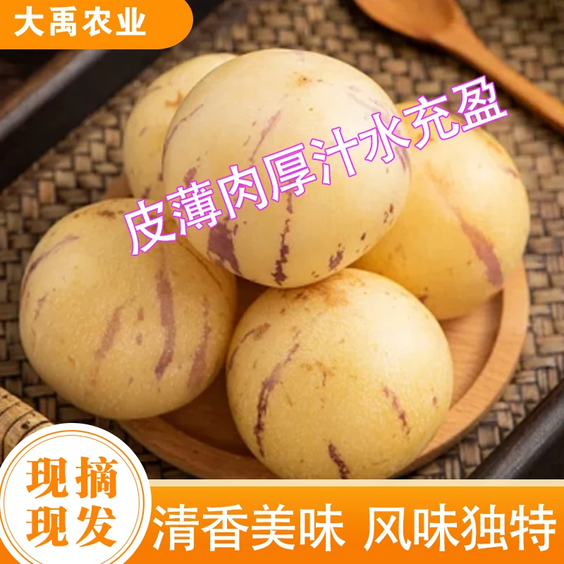 云南石林黄心人参果3斤装树上熟低糖清甜多汁当季水果