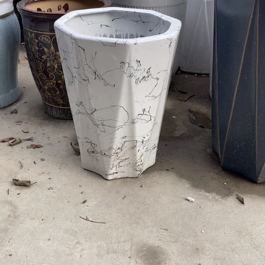 八方飞丝中口25高32福利