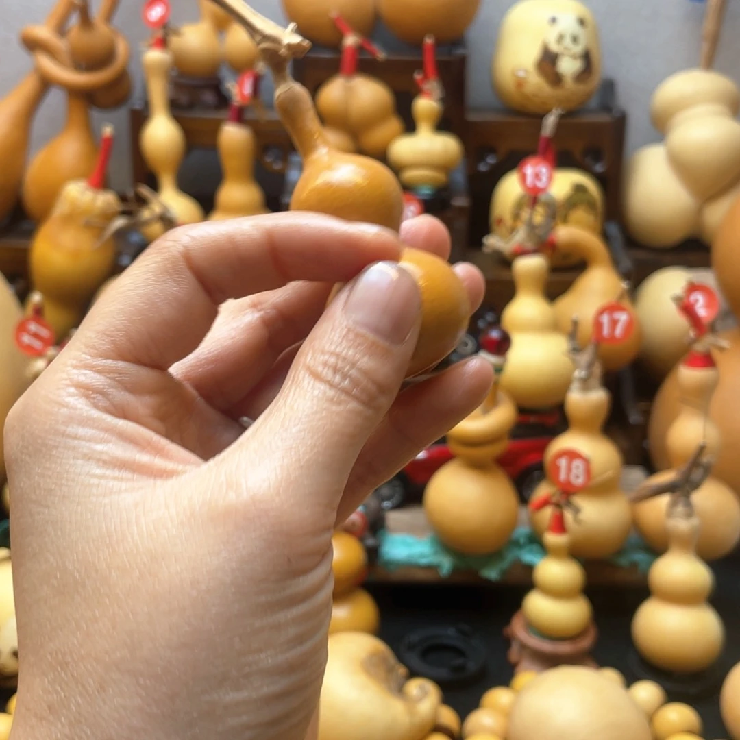 ?*?大自然的秘密第十一节你是谁