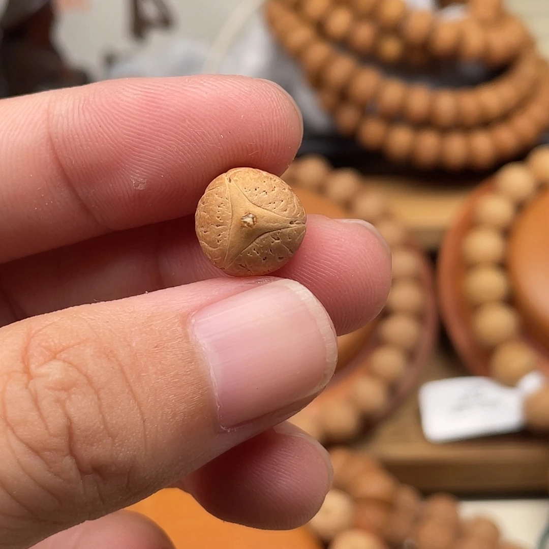 不****吊坠凤眼菩提实心龙12尺寸左右19号