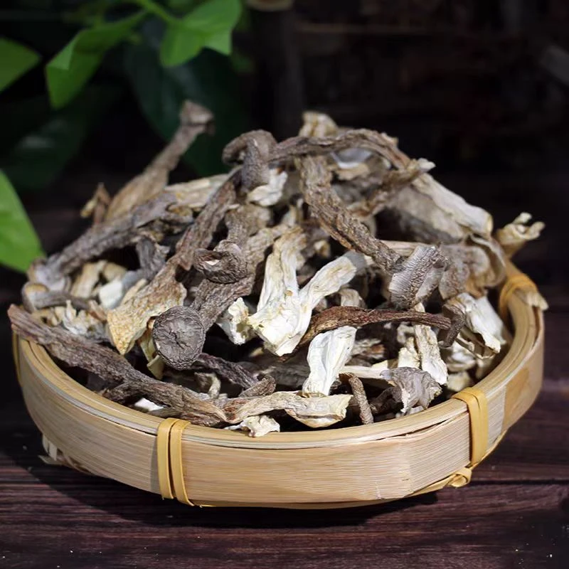 【5-10斤整箱发货】高山鹿茸菇农家特产干货新货炒菜煲汤鲜香脆嫩