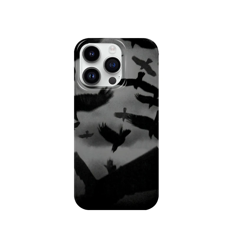 乌云飞鸟适用于苹果16promax手机壳个性小众15pro创意14/13/12/11