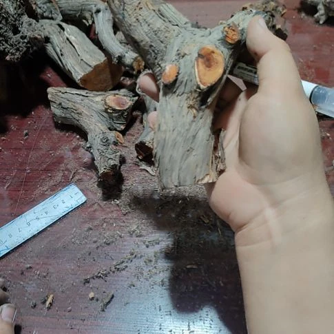 白***鹤核桃木/黑胡桃（胡桃木）