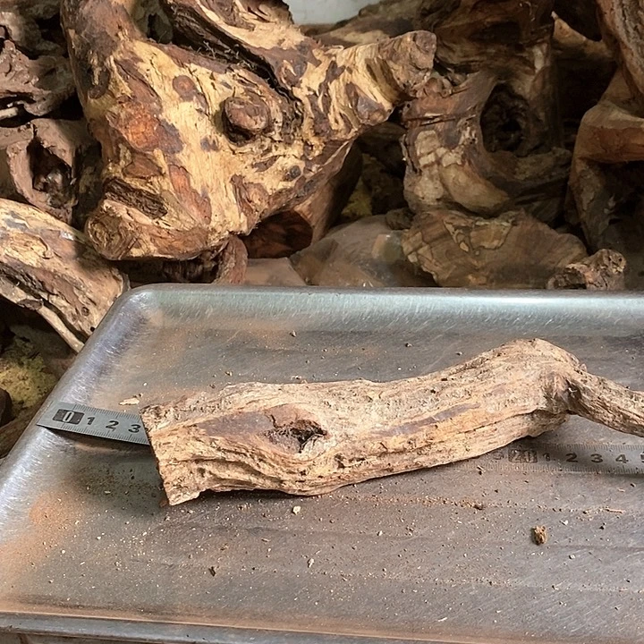 花梨木类知*∽海南花梨