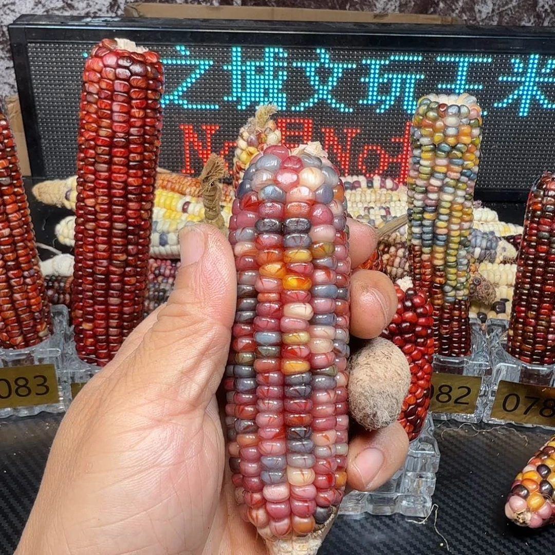 妞***鱼大叶紫檀（黑酸枝木类）