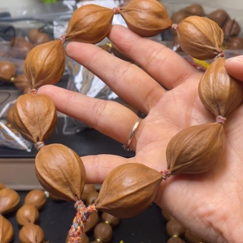 手串/手链贝壳橄榄核138四花2.4