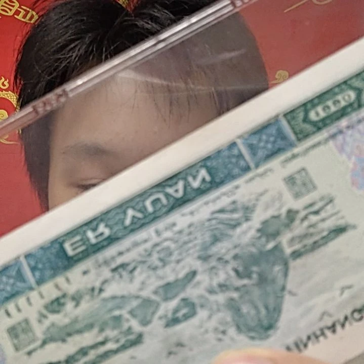 藏形匿影（号码随机发货）纸币评级币