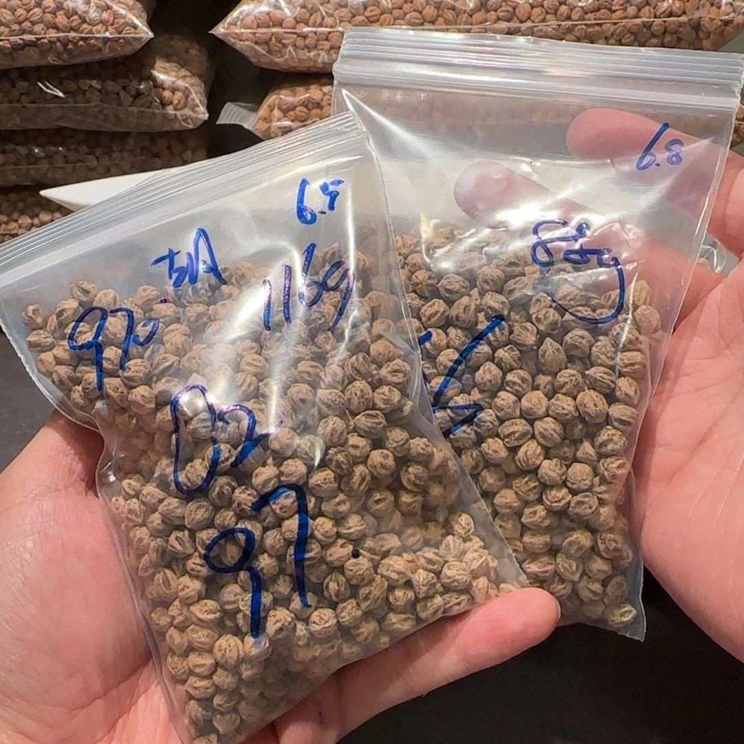 柏香籽/百香籽吊坠胡**～C2