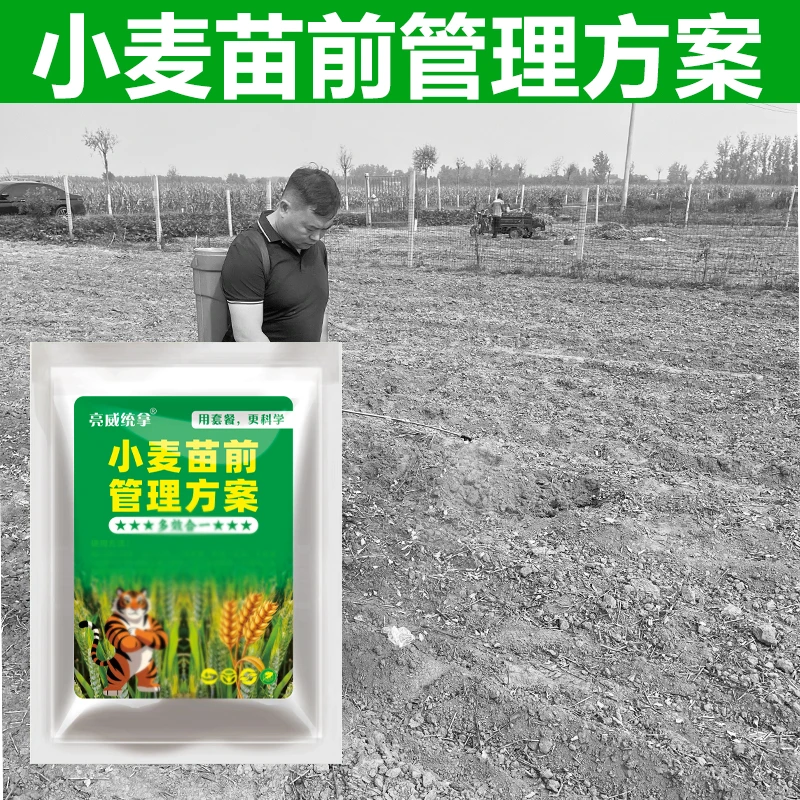小麦苗前管理方案不伤土不影响出苗修复土壤提高肥料效果叶面肥
