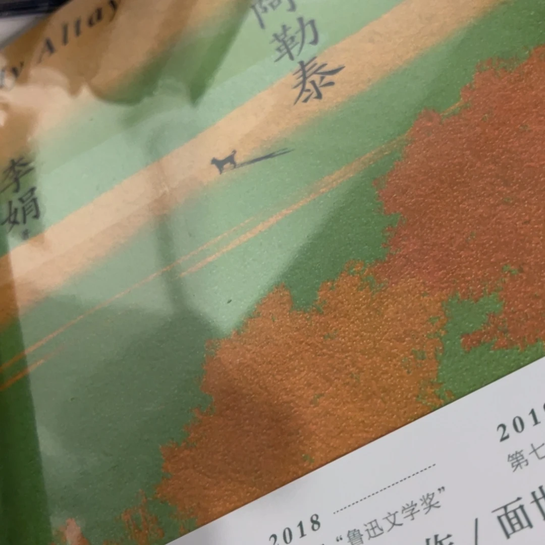 我的阿勒泰精装一个