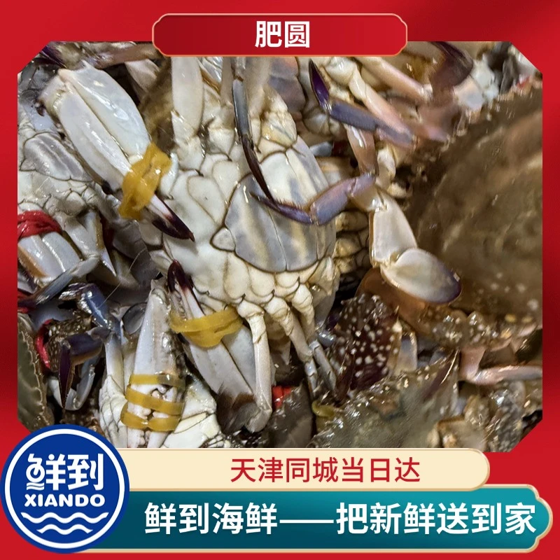 【保鲜不保活】本地鲜甜蟹跑腿天津当天送到  2-5两/只 总重2-5斤