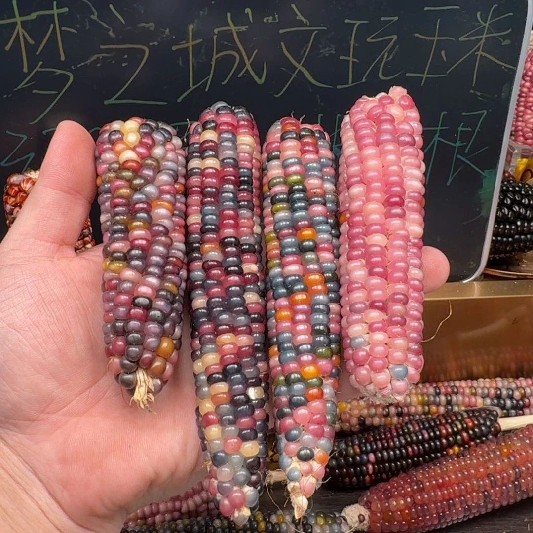 柏香籽/百香籽吊坠小*