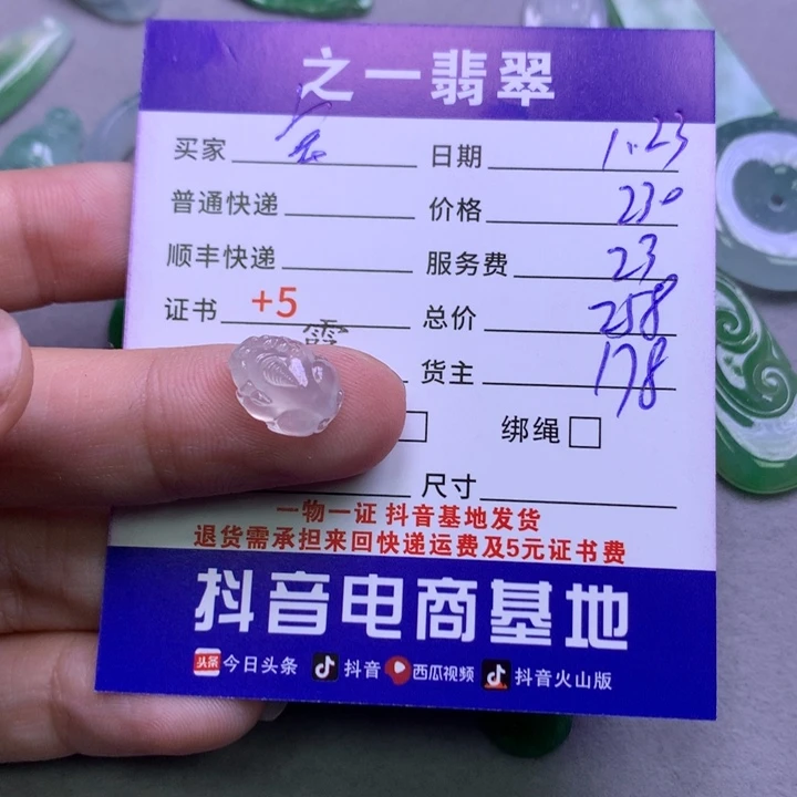 翡翠颈饰未镶嵌璐****宝