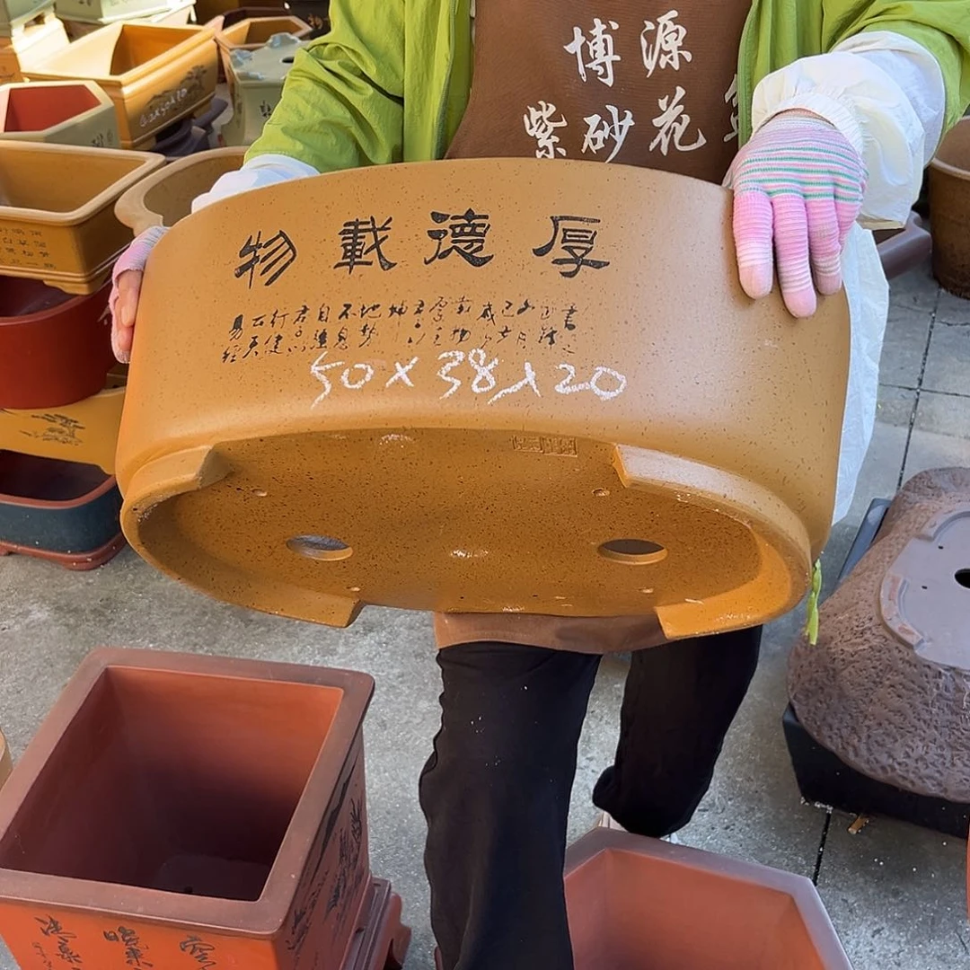 紫砂花盆盆景艺术