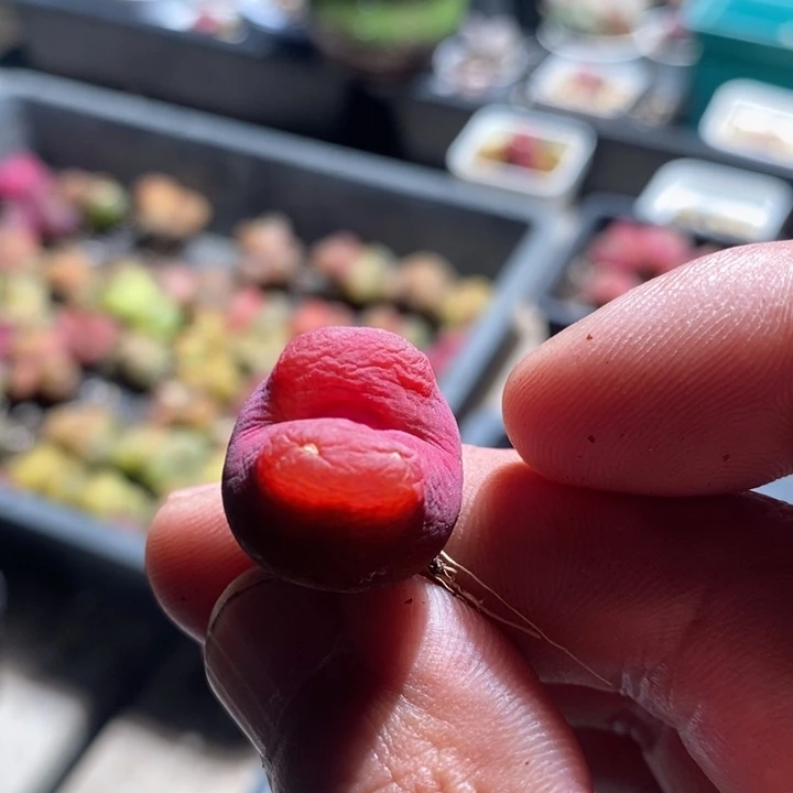 24154一个一个一个
