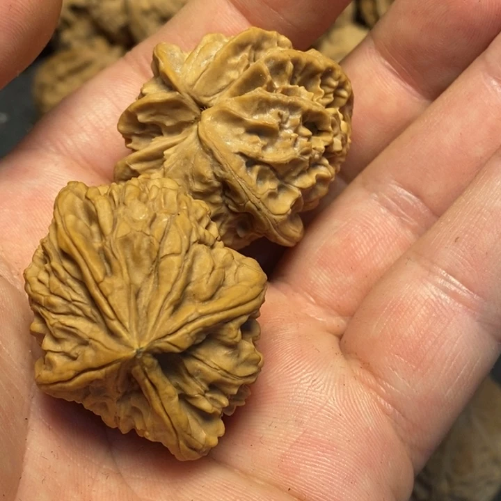 文玩核桃吊坠语***✨文玩核桃异形单只