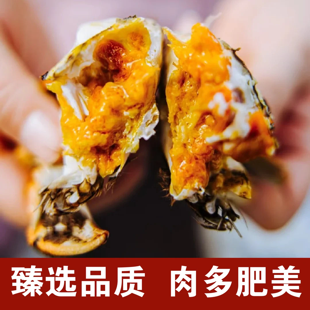 【全母河蟹30只】空运河蟹买25只送5只鲜活1-0.8两全母不绑绳发货