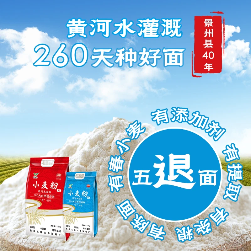 恒亦雪零添加冬小麦河北硬质冬麦面粉面点美食10+65高筋面粉升级