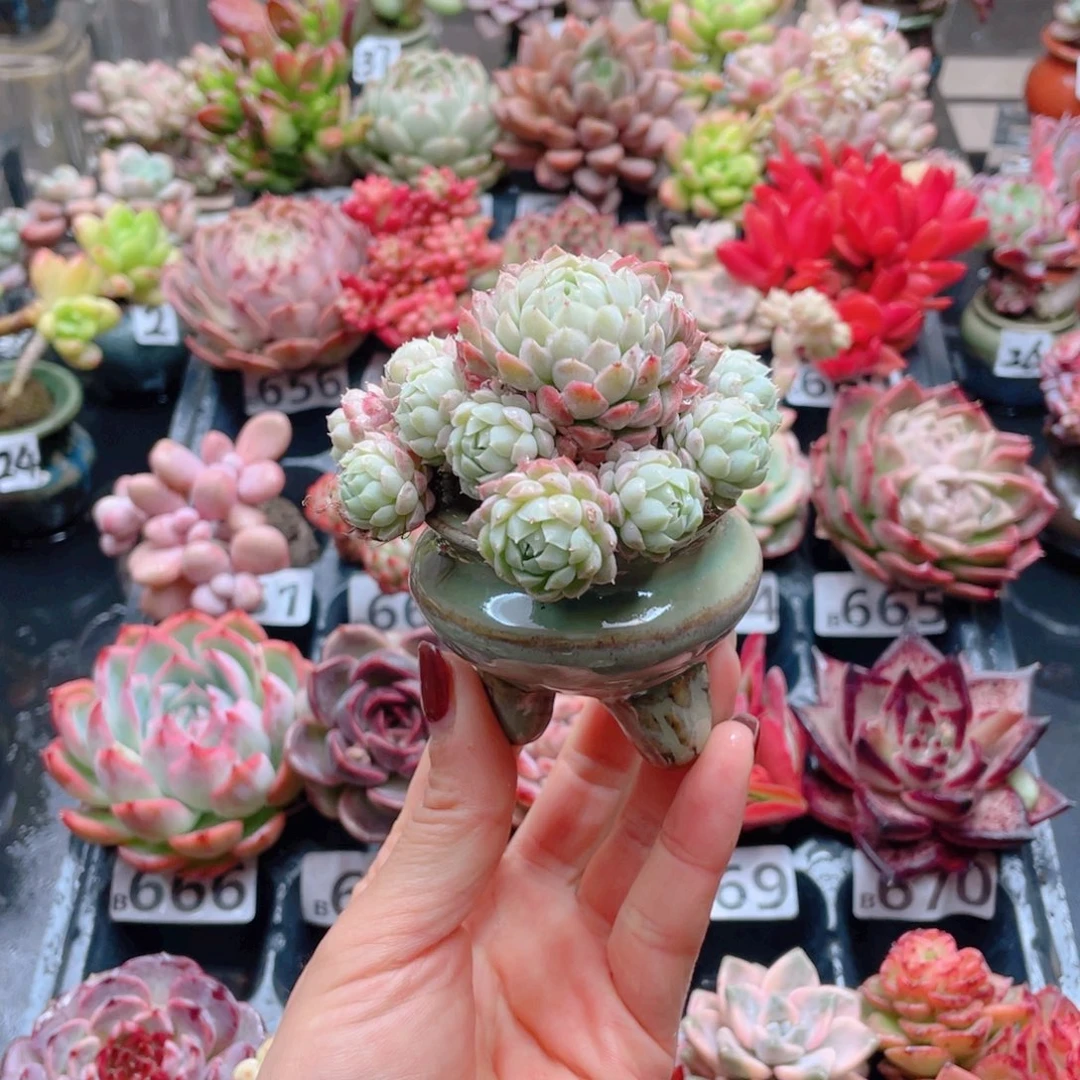 无铅玻璃□****□花器花器花器花器