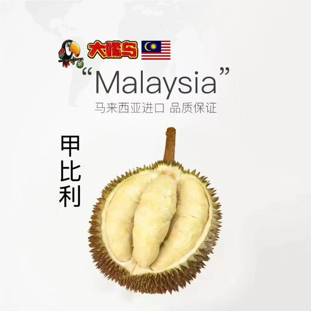 甲比利榴莲马来西亚液氮锁鲜树熟