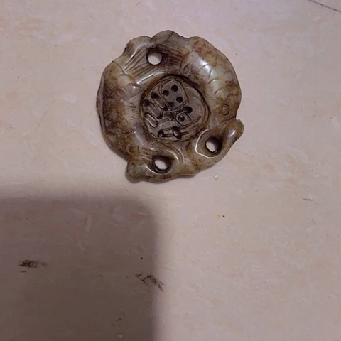 香榧木天**星Fhfhfhfgfgfhcg