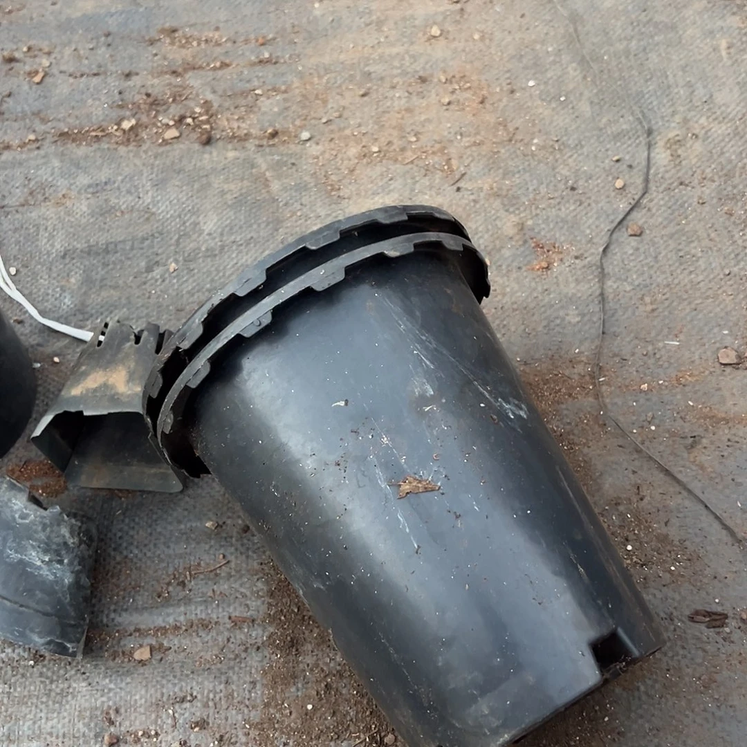 塑料口径17花边盆发15个