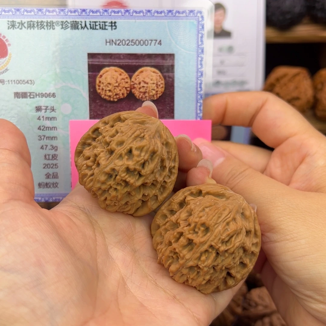 文玩核桃把件41全品涿鹿红皮南疆H9066