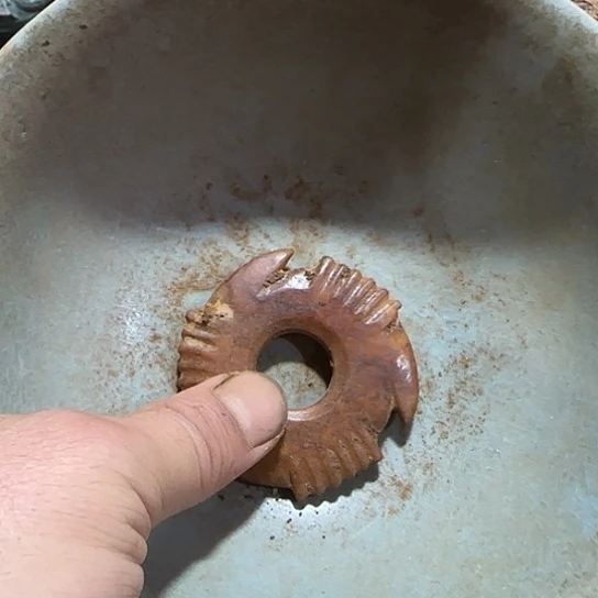 我现在在外面吃饭了你吃吧你